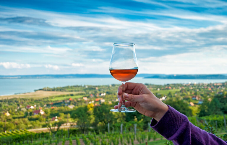 Hungarian Wine: Exploring the Rich History and Unique Regions